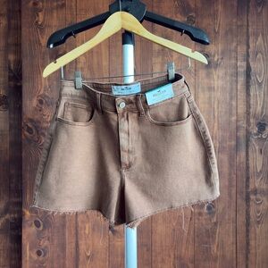 Hollister Women's Brown Jean Shorts